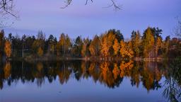 Ferieboliger i Leningrad oblast