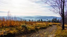 Ferieboliger i Voivodskabet